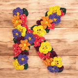 Crochet Alphabeth Uppercase Floral K Flower Letter Applique Pattern Lettering English version Instant PDF Download (Copy) (Copy) (Copy)