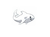 Hai Haarspange -4cm freie Farbwahl-Homeartist